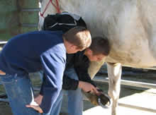 Two Stillwater Academy students help to clean out a horses hooves.