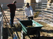 Working is also part of learning at the ranch.